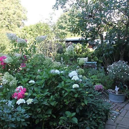 Sonnengruss Διαμέρισμα *